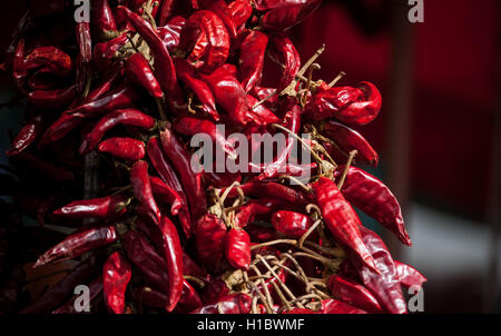 Nahaufnahme Foto von ein paar rote Chilischoten in einem Markt Stockfoto