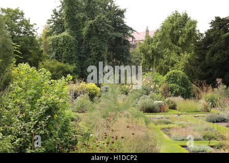 Chelsea Physic Garden Stockfoto