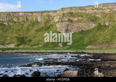 Die Orgelpfeifen, Giant es Causeway, Bushmills, County Antrim, Nordirland, Vereinigtes Königreich Stockfoto