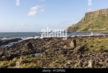 Port Noffer und Riesen Boot Giant es Causeway, Bushmills, County Antrim, Nordirland, Vereinigtes Königreich Stockfoto