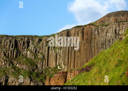 Giant es Causeway Orgel, Bushmills, County Antrim, Nordirland, Vereinigtes Königreich Stockfoto