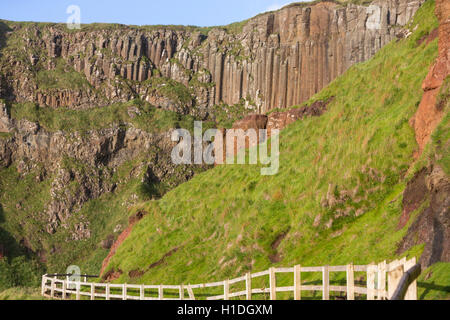 Giant es Causeway Orgel, Bushmills, County Antrim, Nordirland, Vereinigtes Königreich Stockfoto