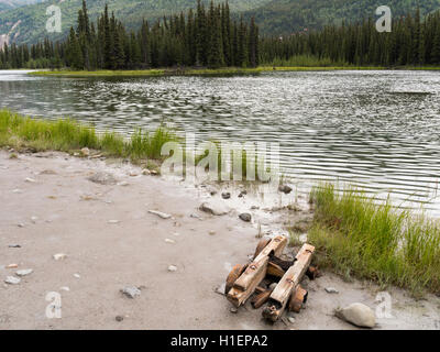 Die Überreste von ein einem alten Bergbau-LKW am Horseshoe Lake, Denali-Nationalpark, Alaska. Ein Elch Kuh und Kalb sind im Hintergrund Stockfoto