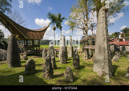 Indonesien, Sulawesi, Tana Toraja, Bori, Zeremoniell gemahlen, megalithische rante Stockfoto