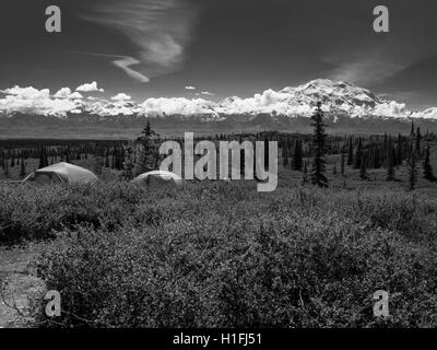 Ansicht des Denali, the Great One vom Wonder Lake Campground, Denali-Nationalpark, Alaska. Stockfoto