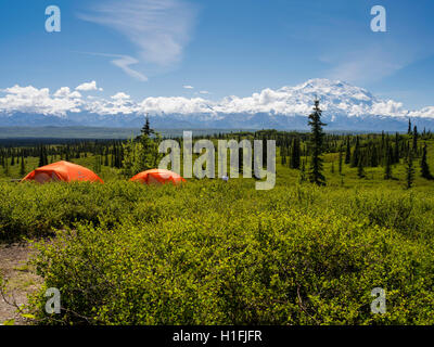 Ansicht des Denali, the Great One vom Wonder Lake Campground, Denali-Nationalpark, Alaska. Stockfoto