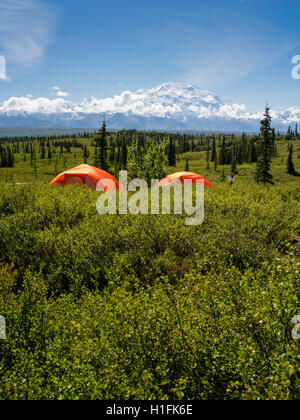 Ansicht des Denali, the Great One vom Wonder Lake Campground, Denali-Nationalpark, Alaska. Stockfoto