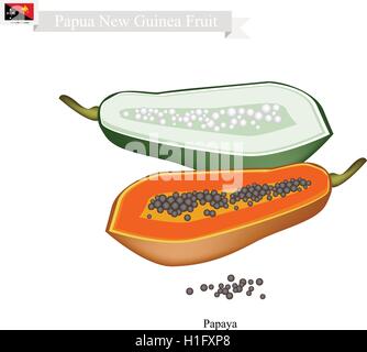 Papua-Neu-Guinea Frucht, Illustration von Papaya. Eine der beliebtesten Früchte in Papua-Neu-Guinea. Stock Vektor