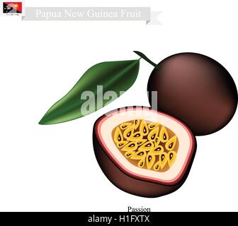 Papua-Neu-Guinea Frucht, Illustration von Maracuja oder Passionsfrucht. Eine der beliebtesten Früchte in Papua-Neu-Guinea. Stock Vektor