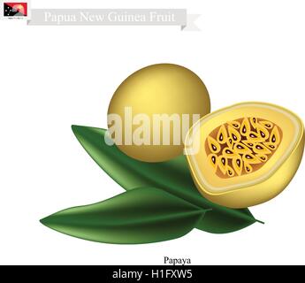 Papua-Neu-Guinea Frucht, Illustration von Maracuja oder Passionsfrucht. Eine der bekanntesten Früchte in Papua-Neu-Guinea. Stock Vektor