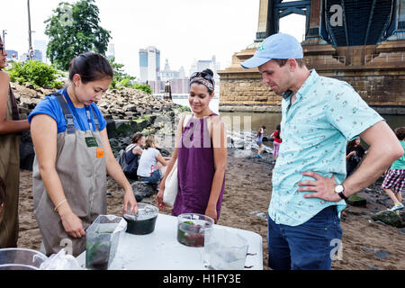 New York City, NY NYC East River, Brooklyn, Dumbo, Brooklyn Bridge Park, Konservierung, Bildung, aquatisches Ökosystem, Beispiele, unter der Manhattan Bridge, Asiaten Stockfoto