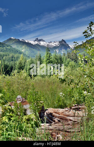 Große und riesige Natur-Landschaft in einen schönen Tag Wanderweg durch Brandywine Wiese, Whistler, BC, Kanada Stockfoto