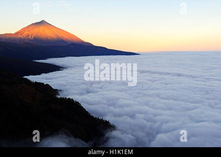 Pico del Teide Bei "Sonnenaufgang" deutschen Passatwolken, Nationalpark Teide, Teneriffa, Kanarische Inseln, Spanien Stockfoto