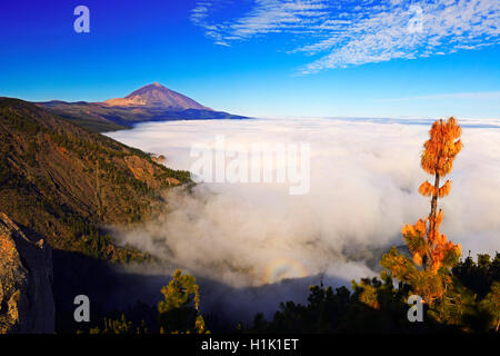 Pico del Teide deutschen Passatwolken, Nationalpark Teide, Teneriffa, Kanarische Inseln, Spanien Stockfoto