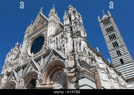 Der Dom von Siena, die Kathedrale Santa Maria Assunta, Kirchturm, Siena, Provinz Siena, Toskana, Italien Stockfoto