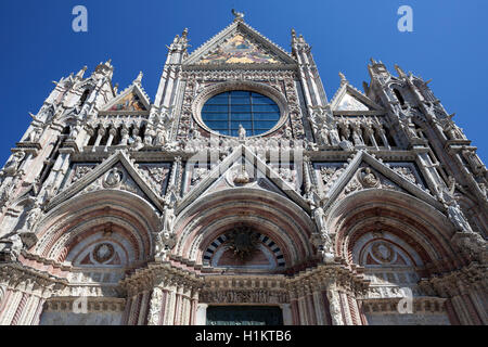 Der Dom von Siena, die Kathedrale Santa Maria Assunta, close-up, Siena, Provinz Siena, Toskana, Italien Stockfoto