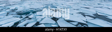 Eisschollen, Jökulsárlón Gletscherlagune, südlichen Rand des Vatnajökull, Region Süd, Island Stockfoto