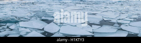 Eisschollen, Jökulsárlón Gletscherlagune, südlichen Rand des Vatnajökull, Region Süd, Island Stockfoto