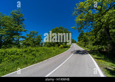 Typische Grün der toskanischen Landschaft mit Hügeln, Bäume, Strasse und blauer Himmel, San Casciano dei Bagni, Toskana, Italien Stockfoto