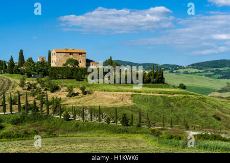 Typische Grün der toskanischen Landschaft im Val d'Orcia, Bauernhof auf einem Hügel, Felder, Bäume, Zypressen und blauen bewölkten Himmel, La Foce, Toskana Stockfoto