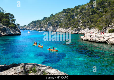 Calanque de Port Pin, Calanques Nationalpark, Provence, Frankreich Stockfoto