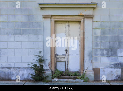 Eingang eines Hauses mit nicht passenden neuere Tür, die nicht original sind. Graue Wand. Nadelbaum wachsen neben der Tür. Stockfoto