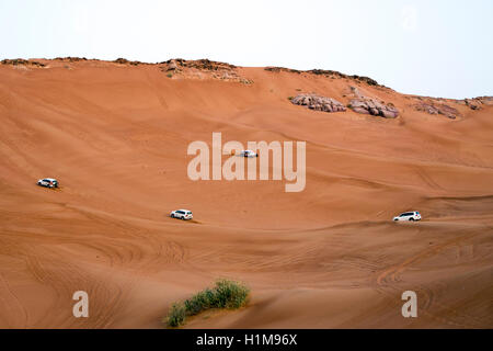 Desert Safari Dune bashing Tour Tourist Spaß Dubai Stockfoto