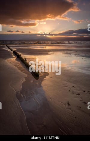 Sonnenuntergang bei Ebbe am Rossbeigh Strand, Co. Kerry, Irland Stockfoto