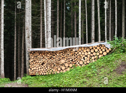 Die Dolomiten, Trentino, Norditalien. Ein fein säuberlich gestapelten Holzhaufen Fichte Protokolle, bereit für den winter Stockfoto