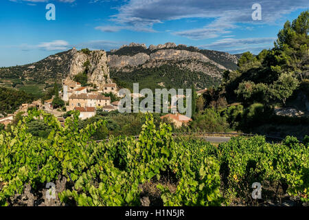 Weinbau, La Roque-Alric, Montmirail Spitze, Vaucluse, Frankreich Stockfoto