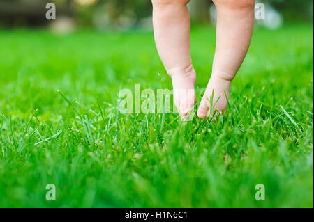 Baby-Gefühl-Rasen zum ersten Mal. Kind die Füße berühren den Rasen Stockfoto