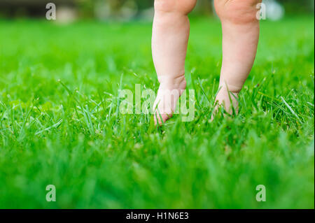 Baby-Gefühl-Rasen zum ersten Mal. Kind die Füße berühren den Rasen Stockfoto