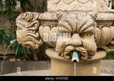 Die Fontaine des Mascarons, Steinbrunnen im historischen Dorf von Séguret, 15. Jahrhundert, Vaucluse, Provence, Frankreich Stockfoto