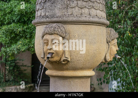 Brunnen im alten Stadt Zentrum von Vaison la Romaine, Côte du Rhône, Drome, Rhône-Alpes, Provence, Frankreich Stockfoto