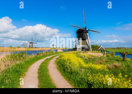 Kinderdijk Windmühlen im Frühjahr Stockfoto