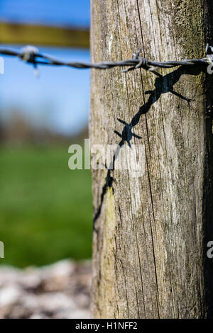 Schatten der Stacheldraht auf einen verwitterten Wodden Zaunpfahl am Rande ein Acker geworfen. Stockfoto