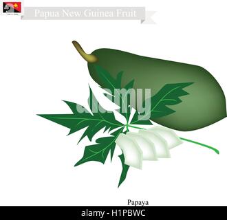 Papua-Neu-Guinea Frucht, Illustration von Papaya. Eines der einheimische Früchte von Papua-Neu-Guinea. Stock Vektor