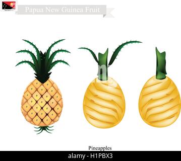 Papua-Neu-Guinea Frucht, Illustration von Ananas. Eine der beliebtesten Früchte in Papua-Neu-Guinea. Stock Vektor