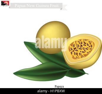 Papua-Neu-Guinea Frucht, Illustration von Maracuja oder Passionsfrucht. Eine der bekanntesten Früchte in Papua-Neu-Guinea. Stock Vektor