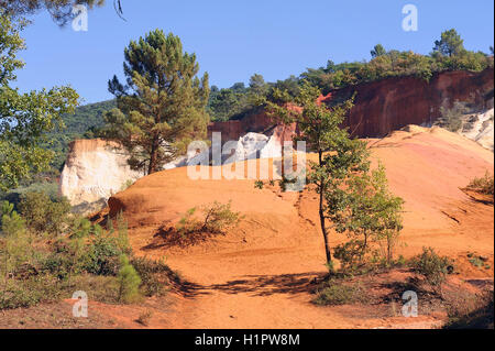 rote Landschaft gegraben von sechs Generationen von Bergleuten Ocker Colorado Provencal bei Rustrel im Süden von Frankreich Stockfoto