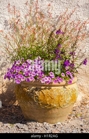 Bild von einem gefüllten Garten Blumentopf Stockfoto