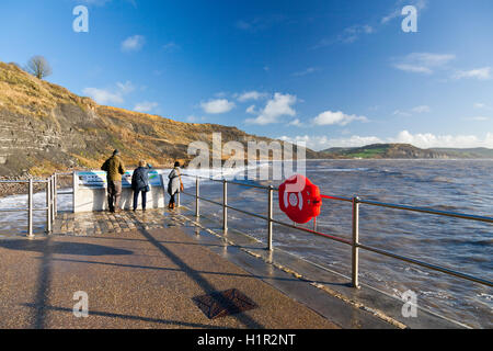 Eine Informationstafel Jurassic Coast auf dem neuen Deich unter schwarzen Venn und die Spittles bei Lyme Regis, Dorset, England, UK Stockfoto