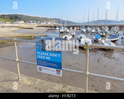 Melden Sie berät Besucher nicht zu füttern von Möwen in Lyme Regis, Dorset, England, UK Stockfoto