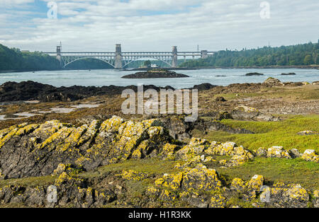 Die Britannia-Brücke über die Menaistraße, gesehen von St. Tysilio Insel Anglesey Stockfoto