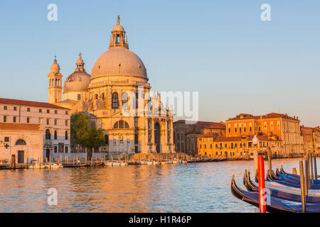 Basilica di Santa Maria della Salute, Canal Grande in Venedig, Veneto, Italien, Europa. Stockfoto