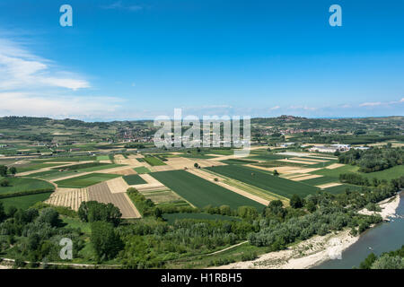 Felder und Weinberge in Barbaresco, Alba, Italien Stockfoto