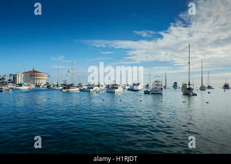 Am frühen Morgen im Hafen von Avalon, Santa Catalina Island, Kalifornien. Stockfoto