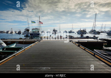 Am frühen Morgen im Hafen von Avalon, Santa Catalina Island, Kalifornien. Stockfoto