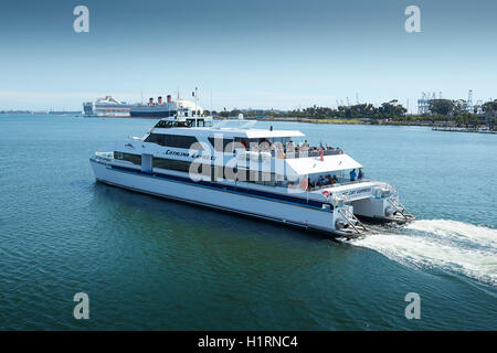 Catalina Express SeaCat, Jet Cat Express fährt Long Beach. Die RMS Queen Mary und die Grand Princess Kreuzfahrtschiff im Blick. Stockfoto