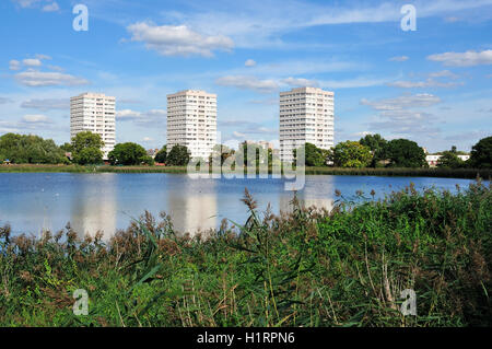 Hochhäuser in Nord-London UK, angesehen vom Naturschutzgebiet Woodberry Feuchtgebiete Stockfoto